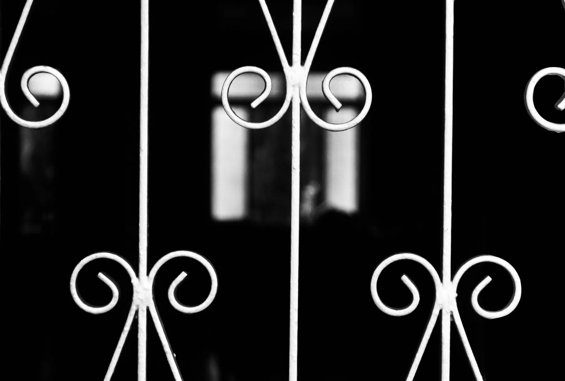Detail of a wrought iron gate, classic scrollwork, black and white